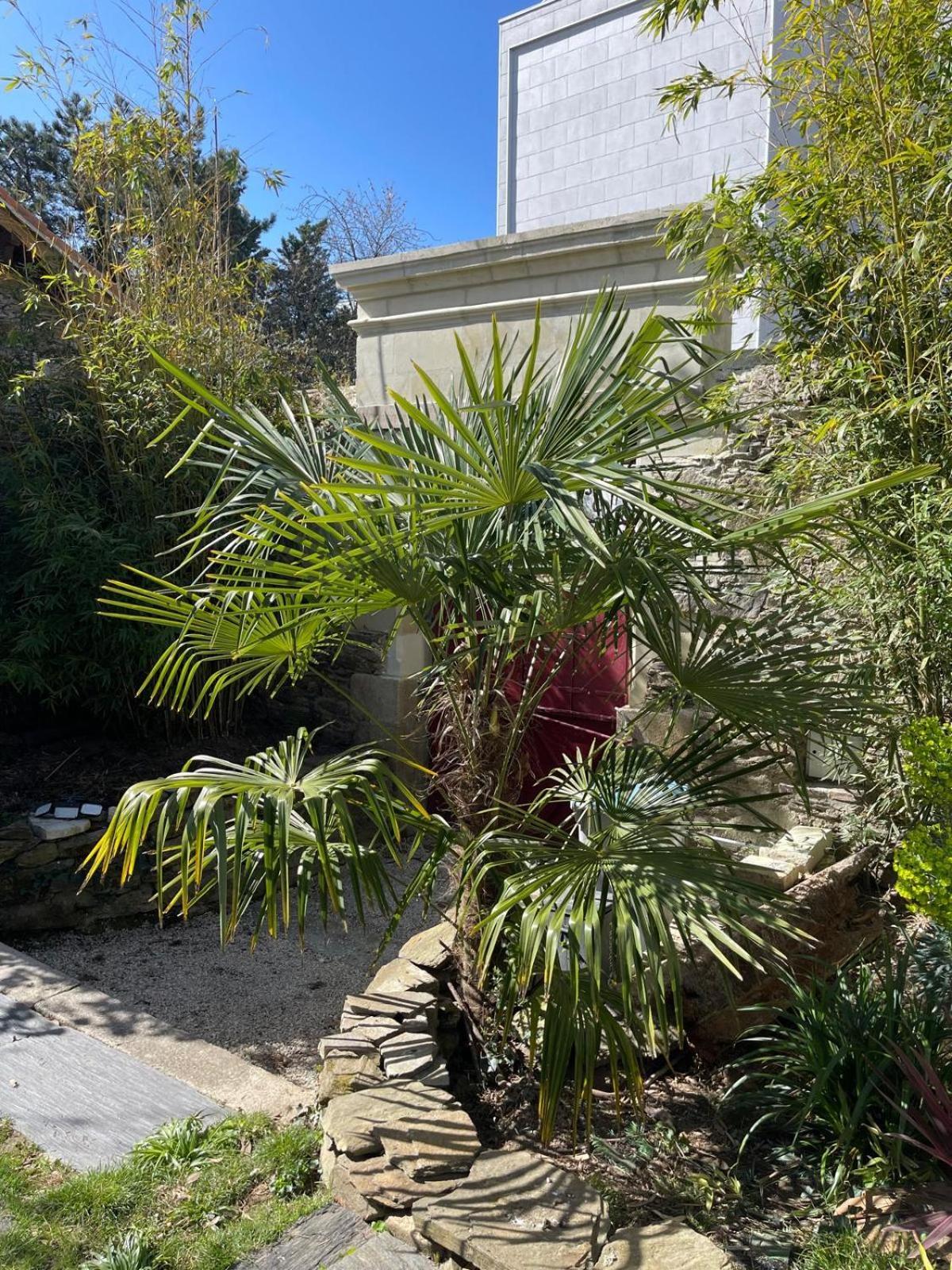 Logement Entier - La Laiterie De La Plume Nantes Exteriör bild
